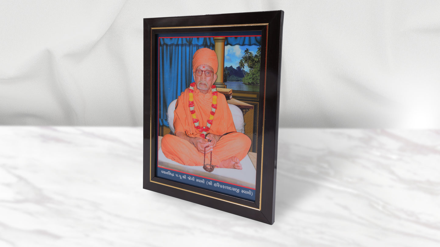 Jogi Swami Photo Frem Murti (8 x 10 Inch)
