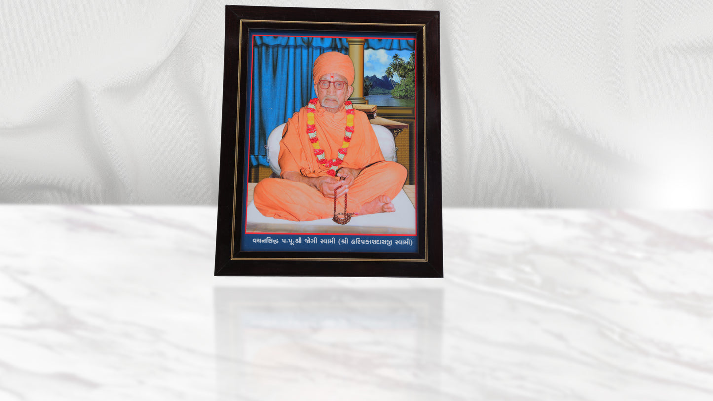 Jogi Swami Photo Frem Murti (8 x 10 Inch)