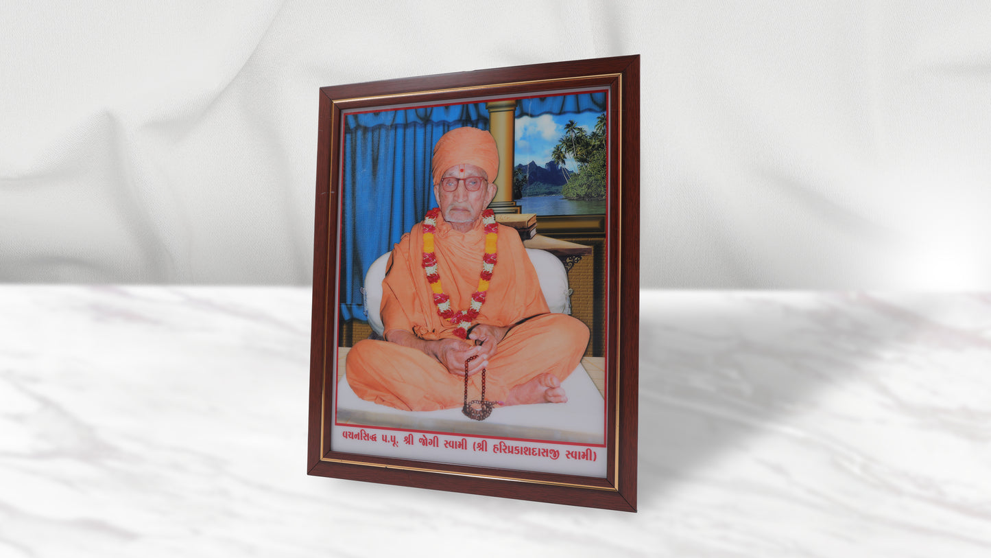 Pu. Jogi Swami Photo Frem Murti (12 x 15 Inch)